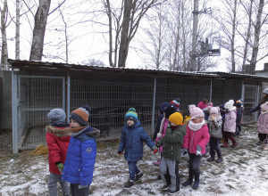 Wizyta w schronisku dla Bezdomnych Zwierząt w Bełchatowie